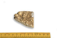 F 24408
<br/>
<br/>
<em></em>